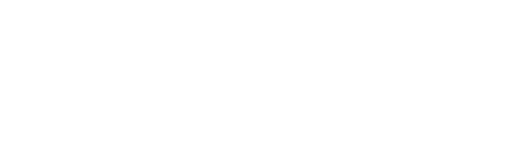 EVIA Logo